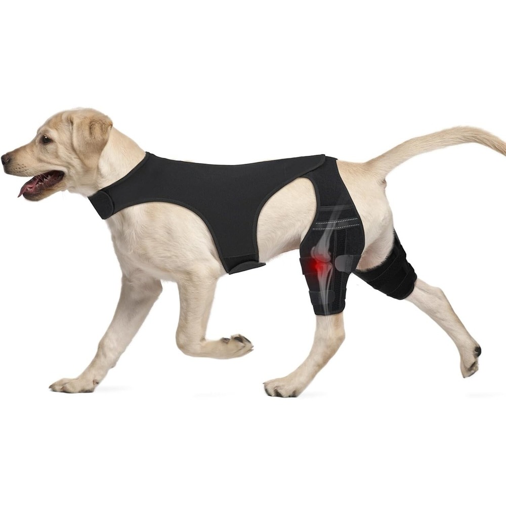 XXL‎ Dog Knee Brace – Hind Leg ACL Support for Patella, Hip Dysplasia, Injuries